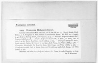 Uromyces hedysari-obscuri image
